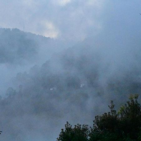 Bagar Trails Hotel Nainital Exterior photo